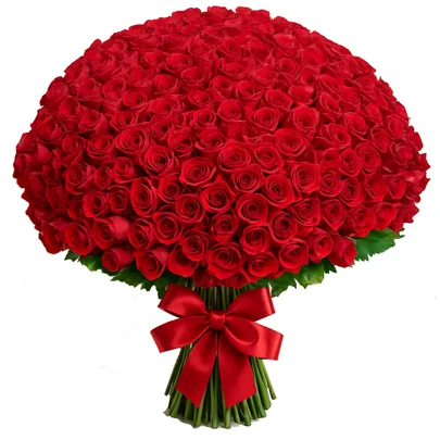1000 Rosas Vermelhas